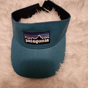 Patagonia Visor Collectible